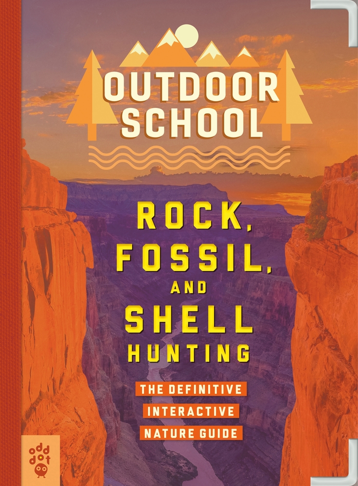 rock-fossil-shell-hunting43