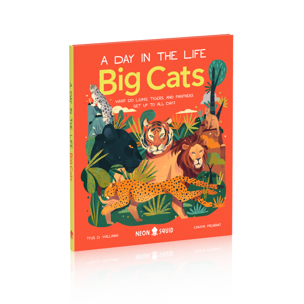 Big-cats-US-12