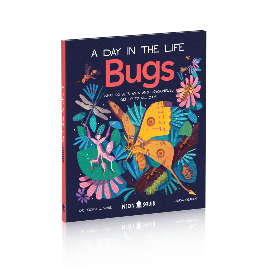 Bugs-US-12