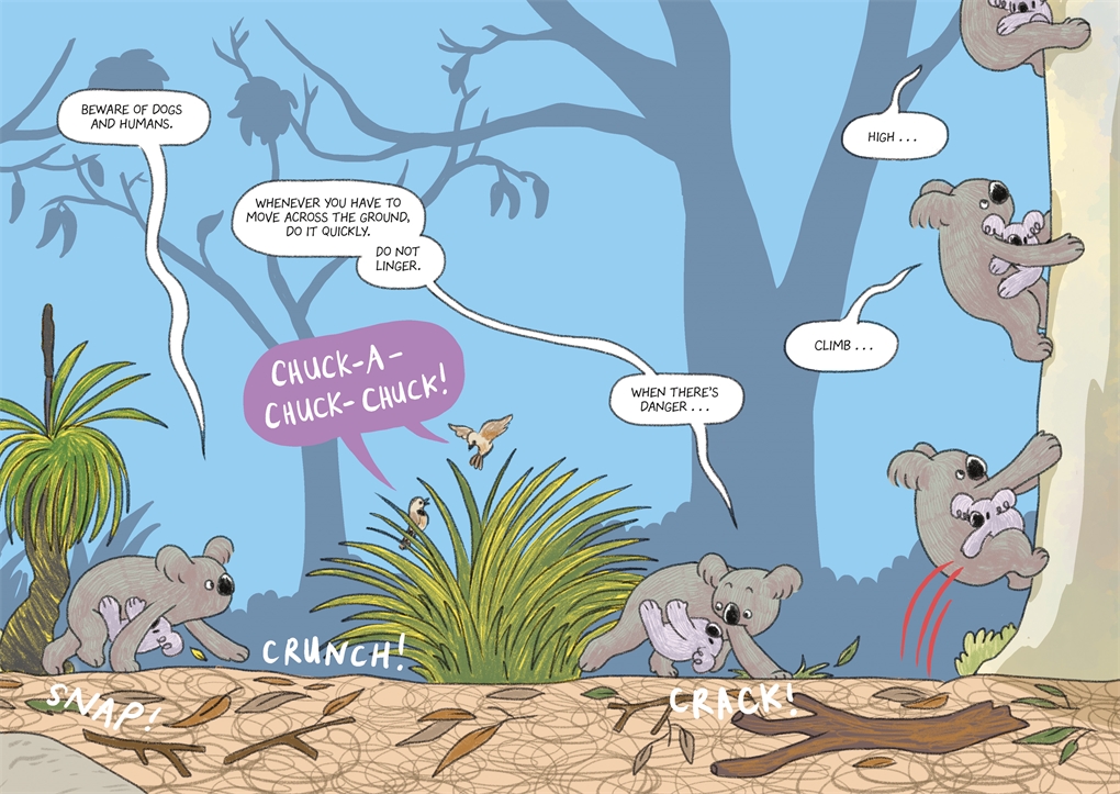 Graphic Novel Preview: Surviving the Wild Series – MacKids School & Library