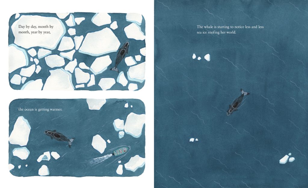 Whale-Interior-2