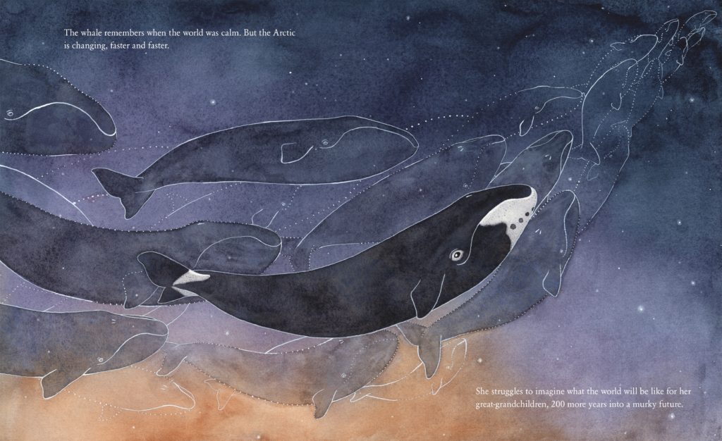 Whale-Interior 1