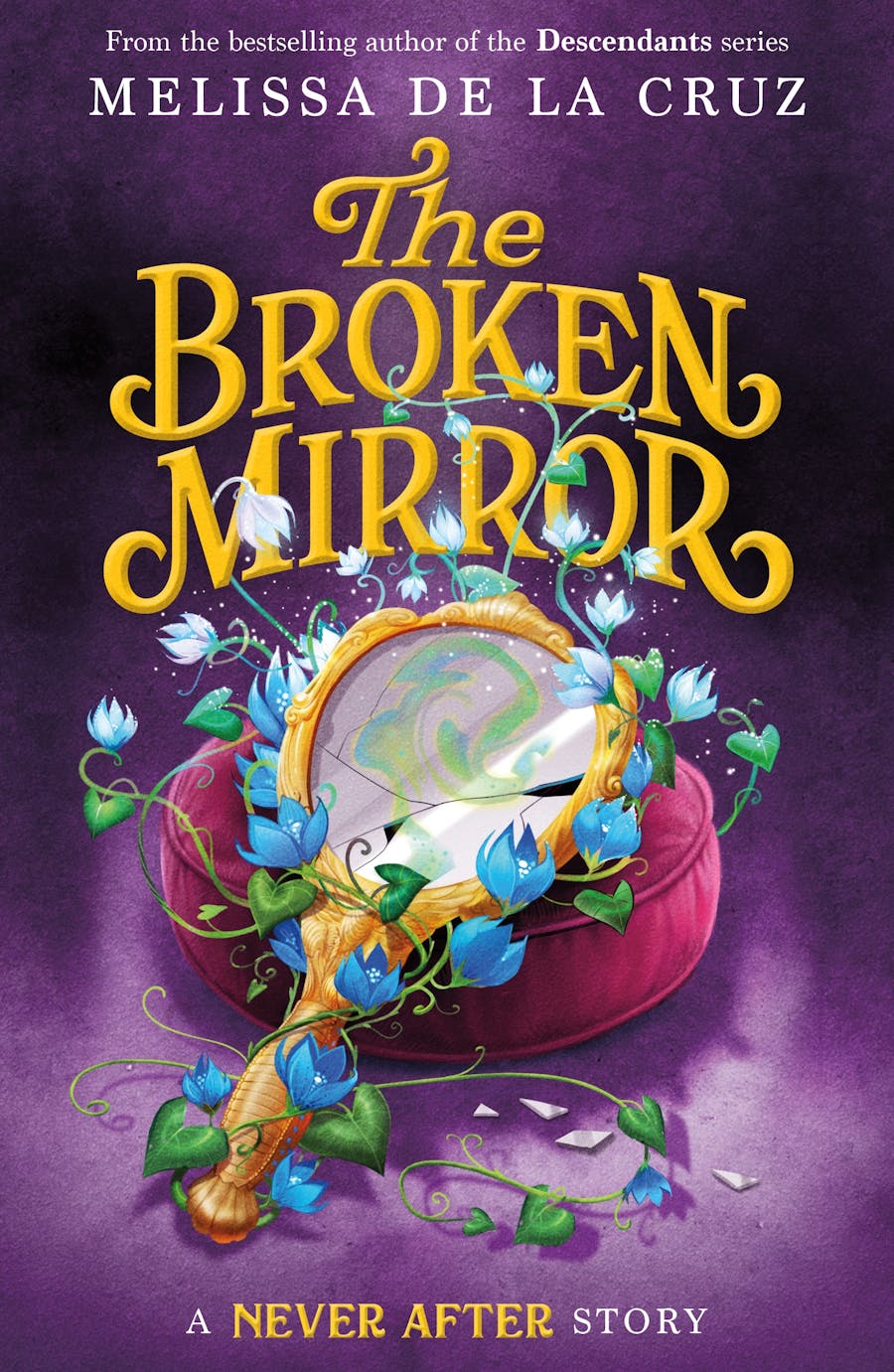 broken-mirror646