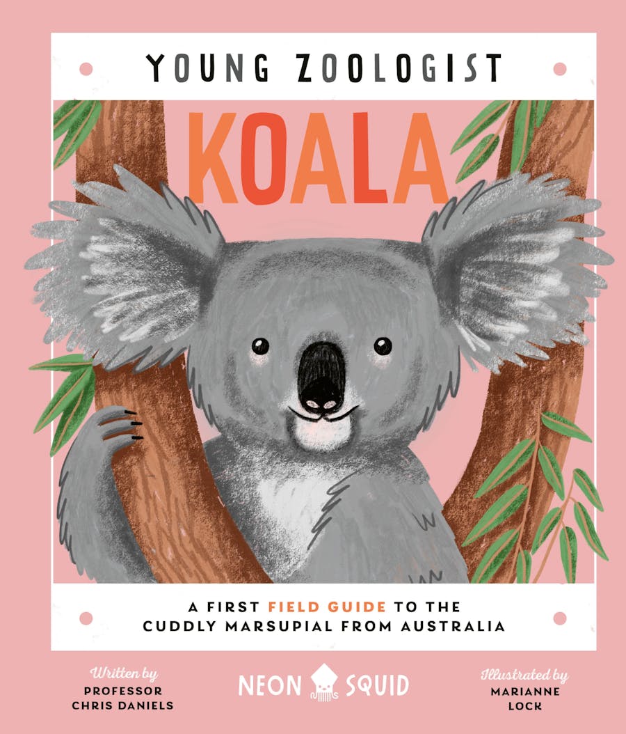 koala446