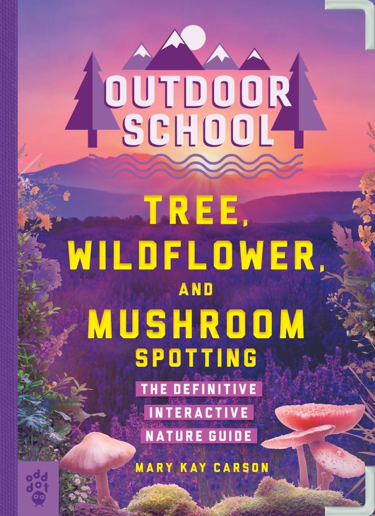 outdoor-school-tree-wildflower-and-mushroom-spotting