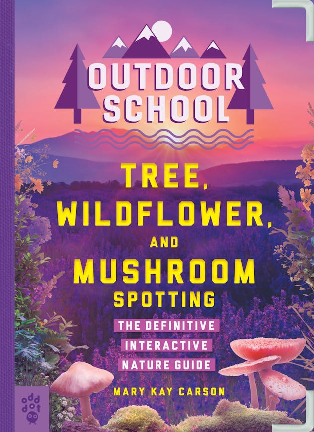 outdoor school 1