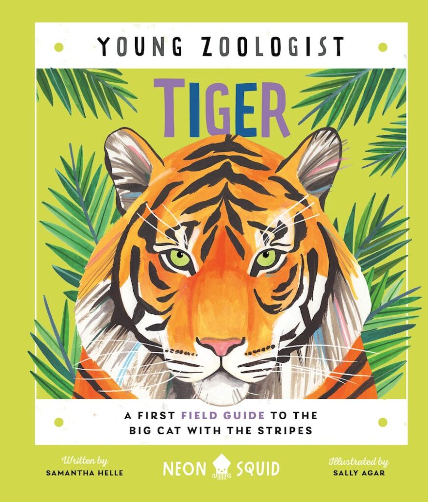 Young Zoologist: Tiger by Neon Squid; written by Samantha Helle; illustrated by Sally Agar