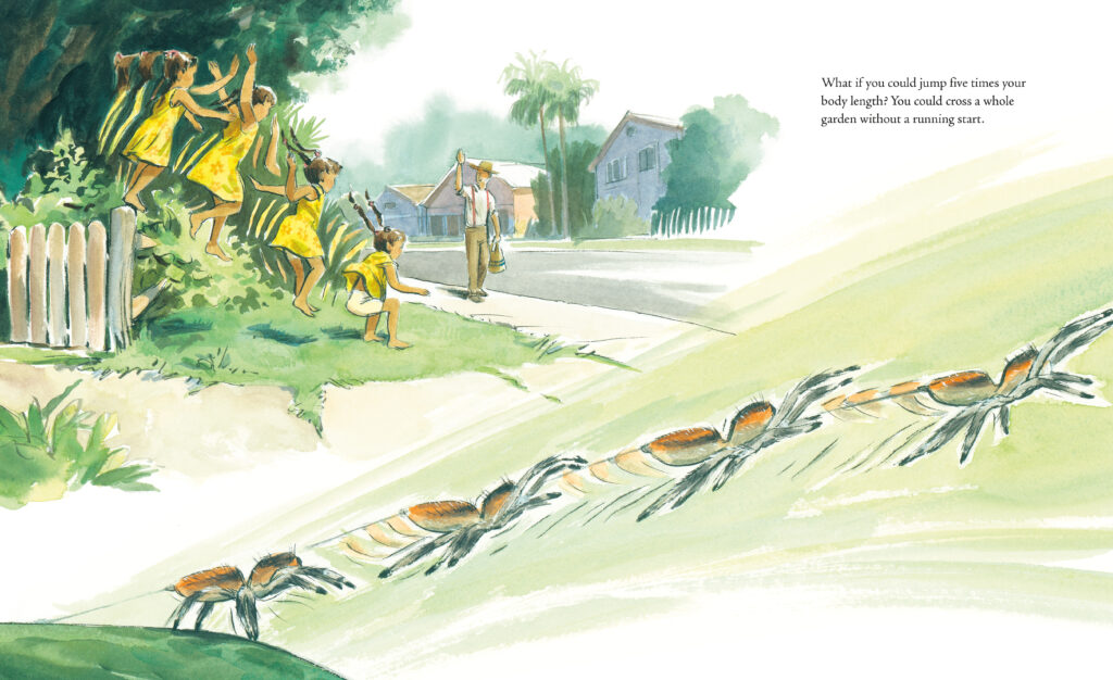 Spread from Jumper with text "What if you could jump five times your body length? You could cross a whole garden with a running start."