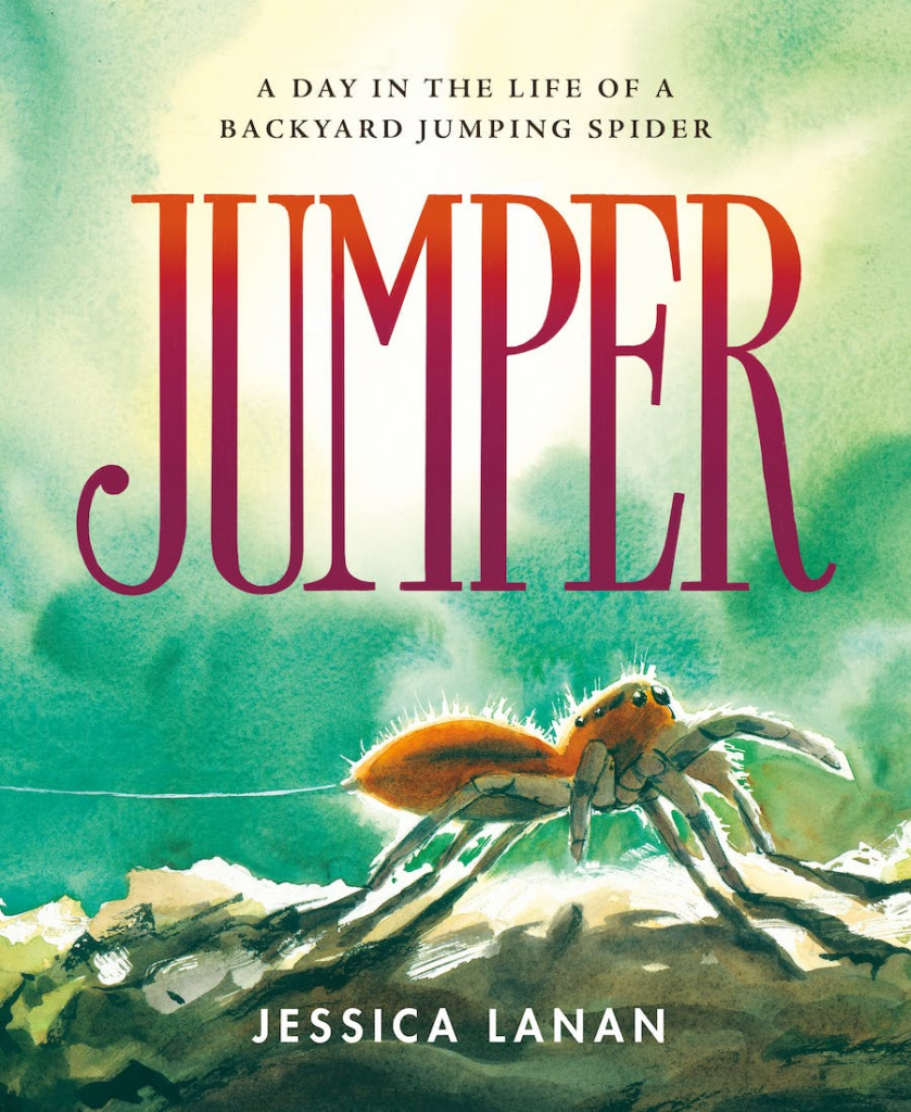 Cover image of JUMPER by Jessica Lanan