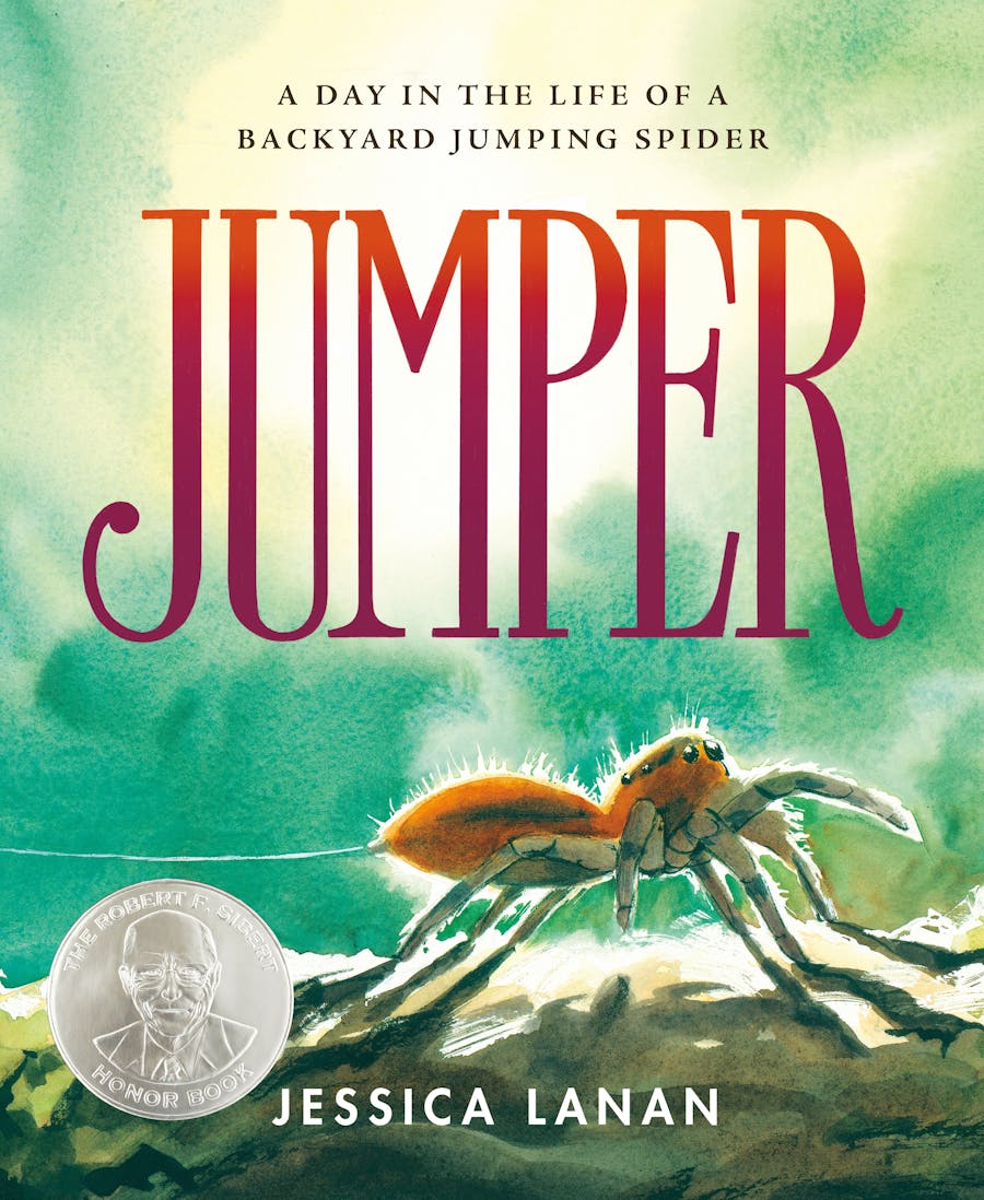 Jumper