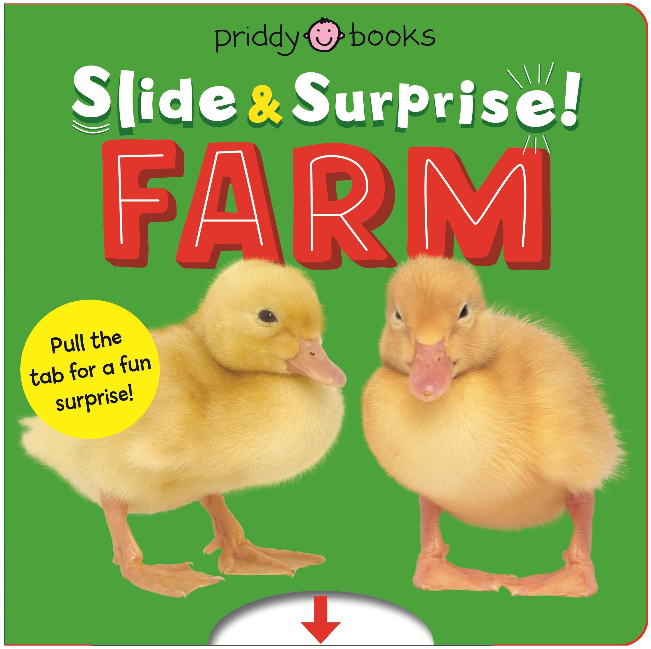 Farm Slide & Surprise Book Cover