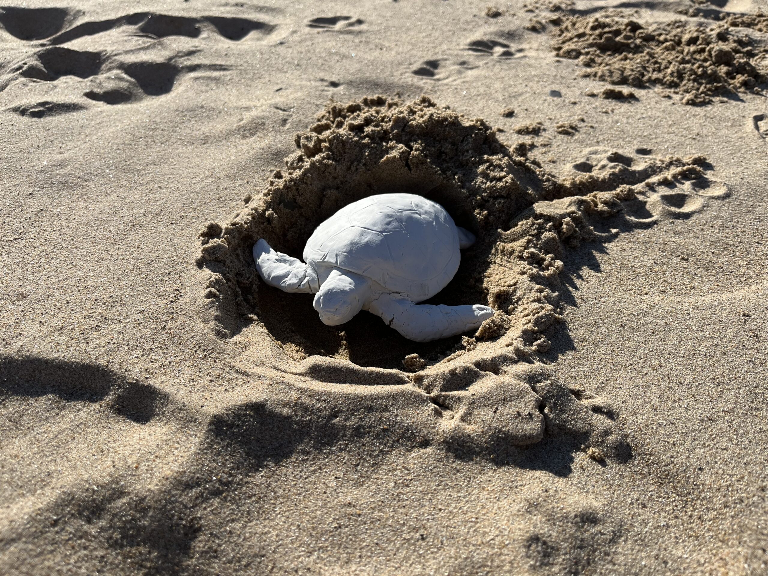 turtle-models-3
