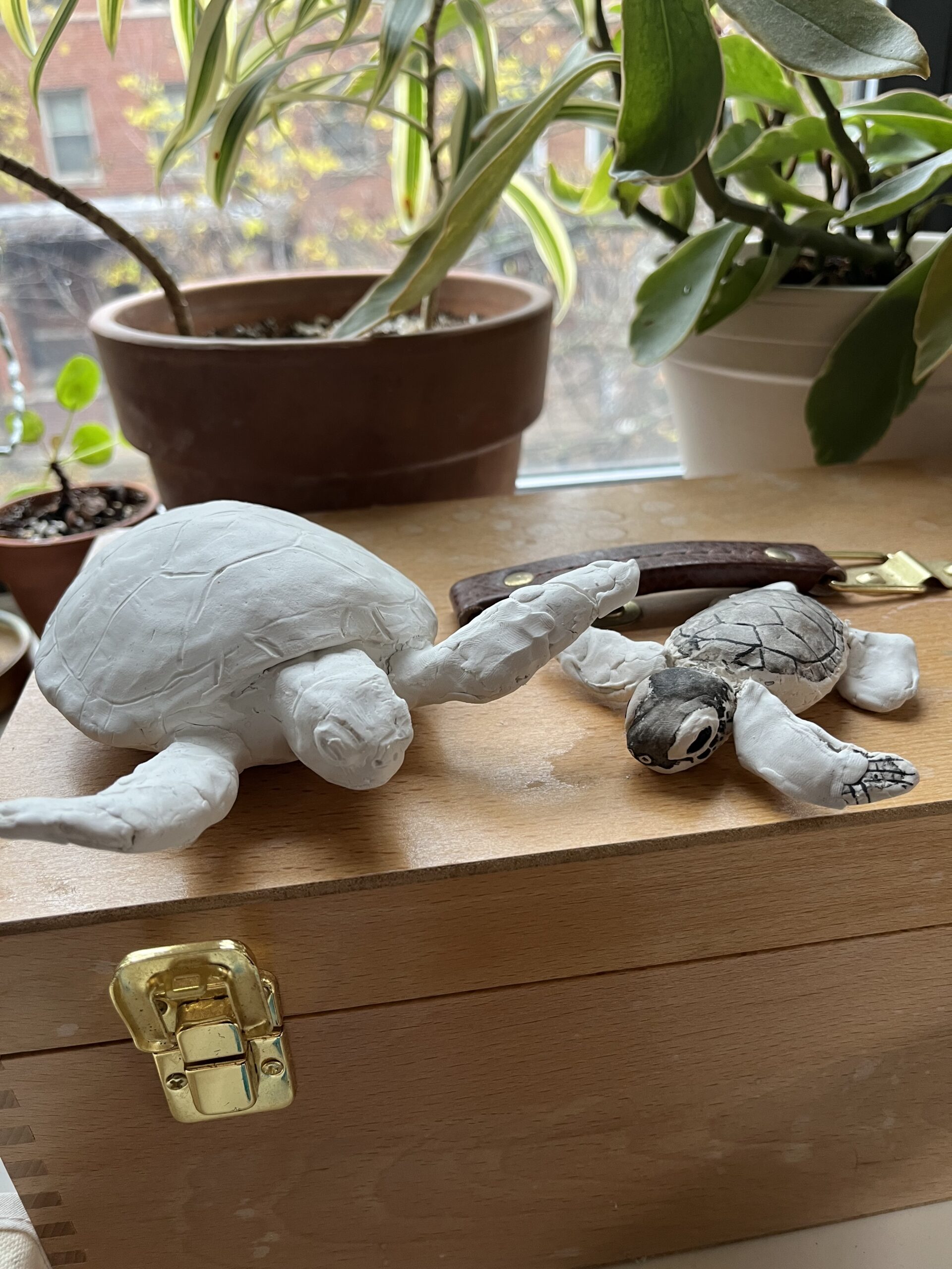 turtle-models-1