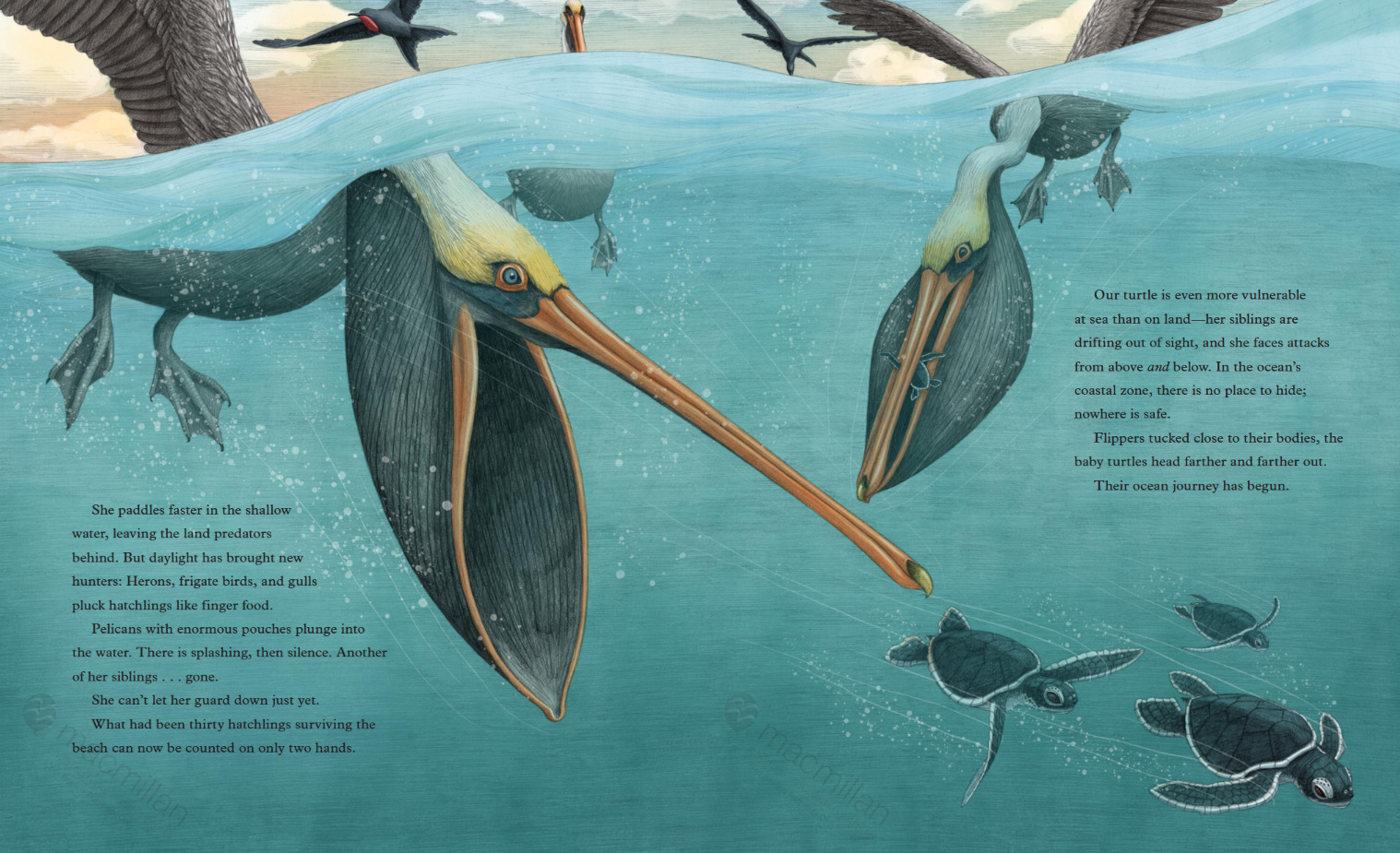 seat-turtles-interior-5