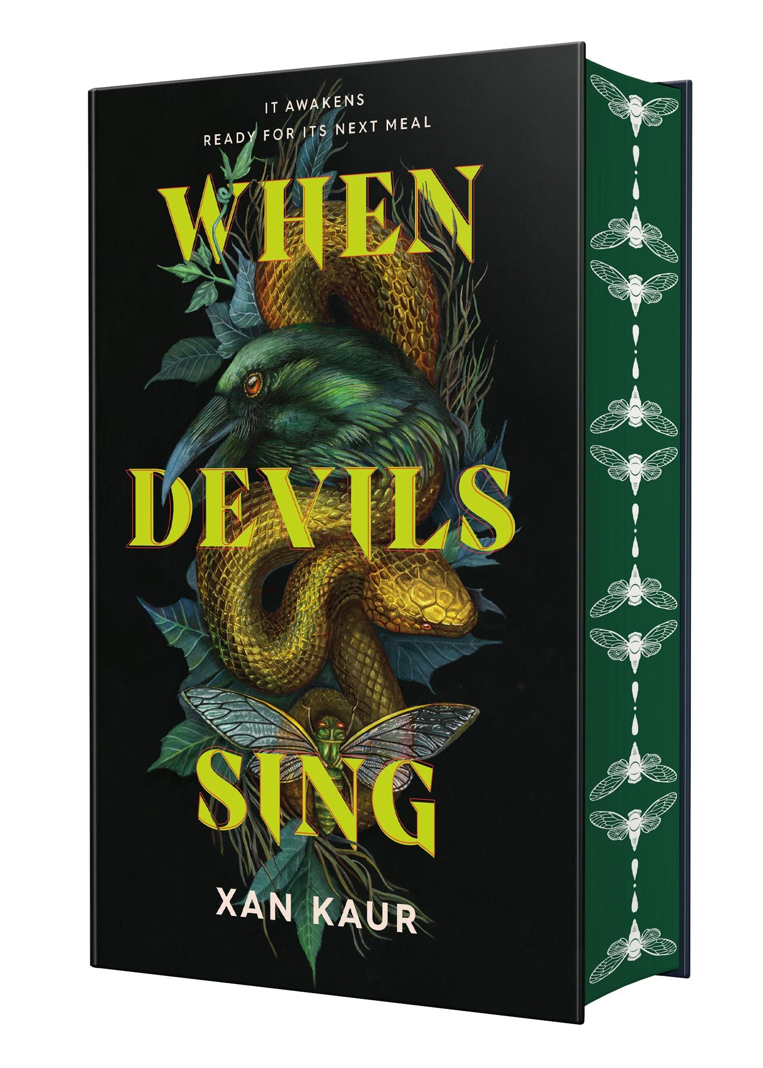 When Devils Sing Book Cover