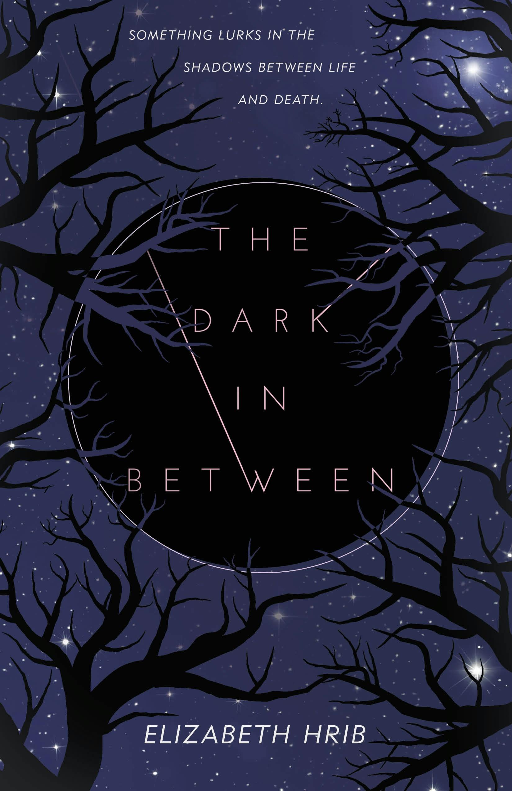 The Dark in Between cover