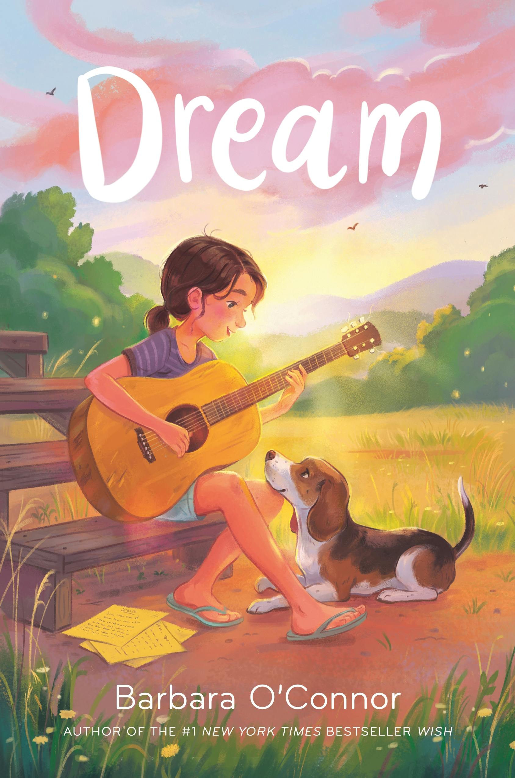 Cover of Dream by Barbara O'Connor