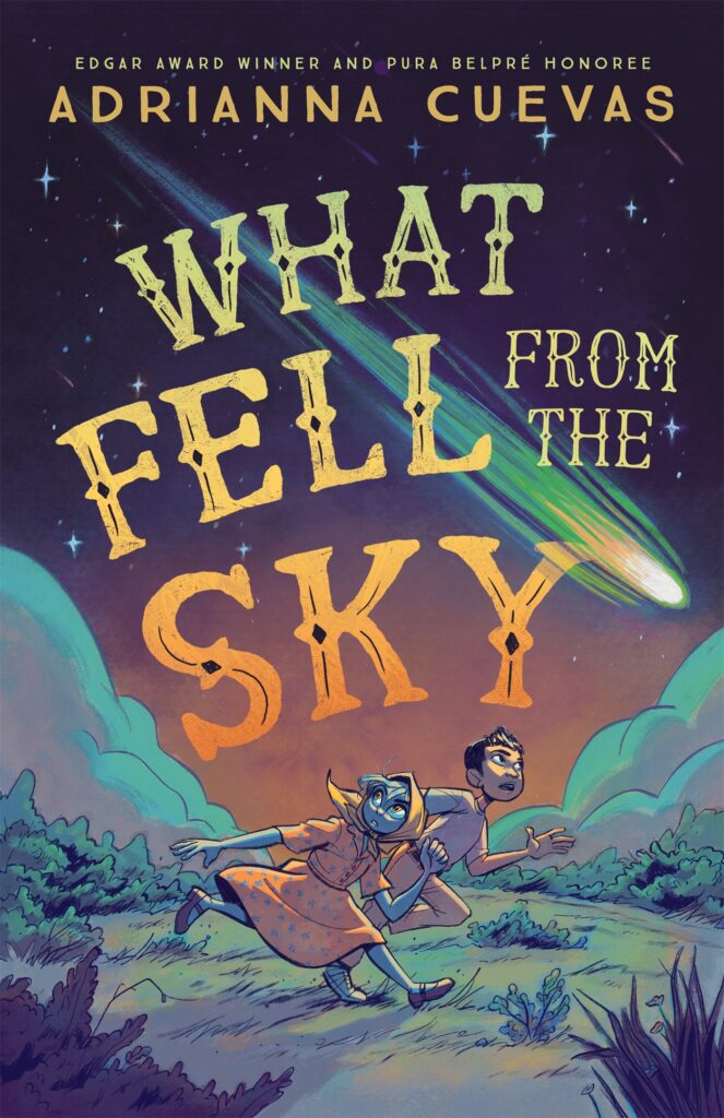 Cover of "What Fell From The Sky"