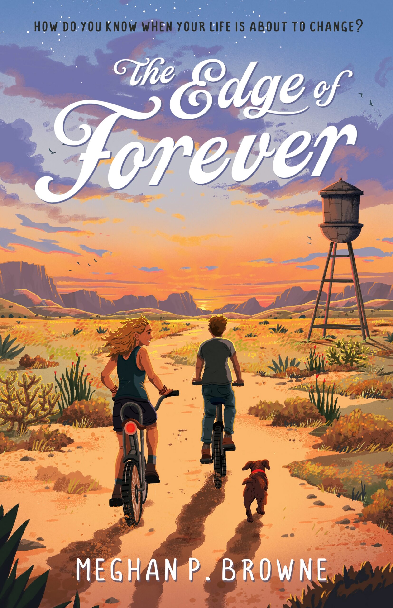 The edge of forever book cover