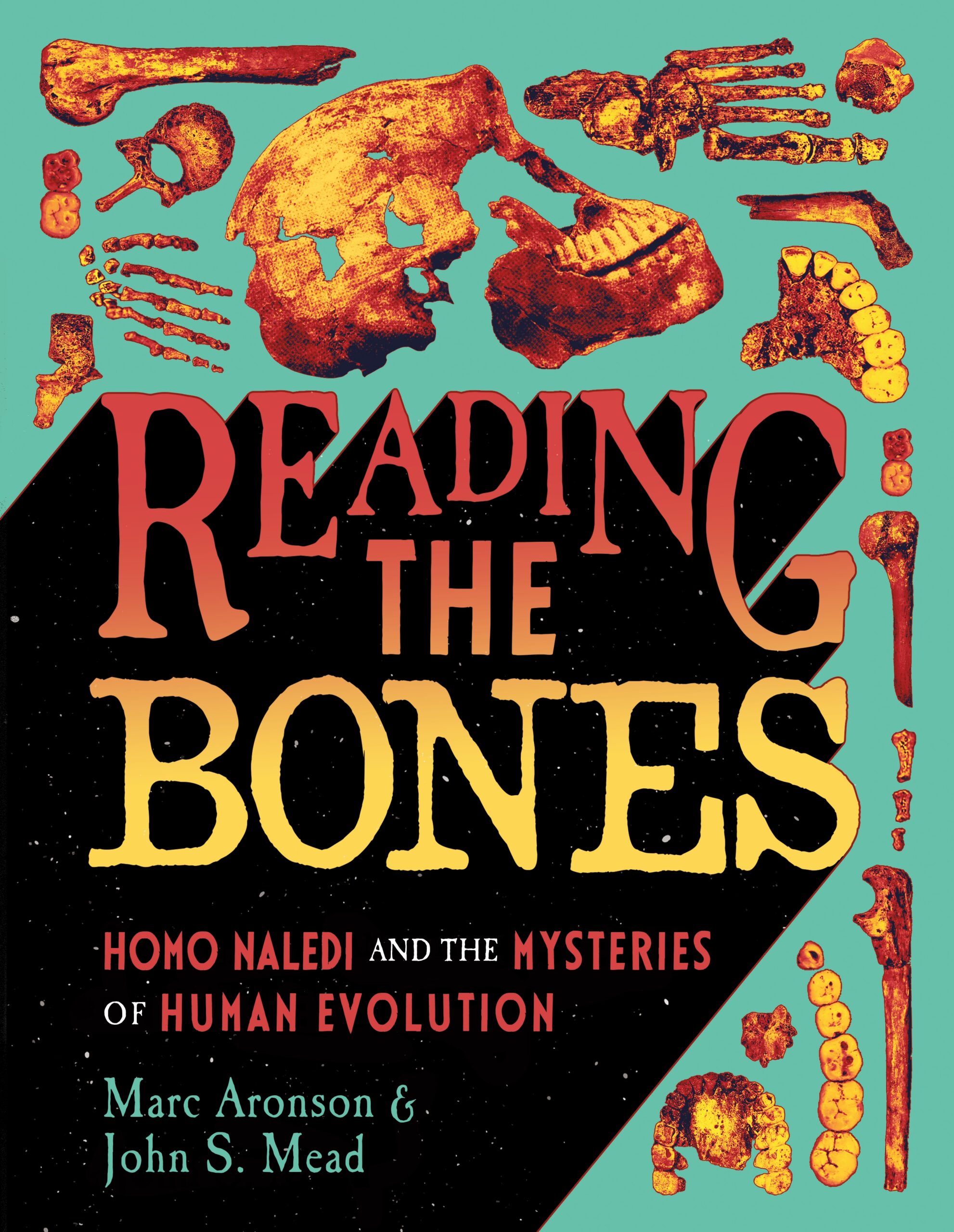 reading-the-bones-TG-book-jacket